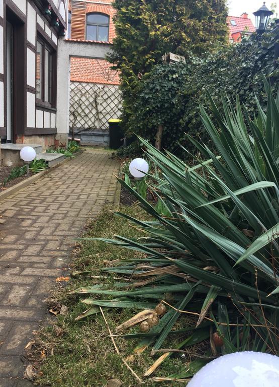 In Domnähe *